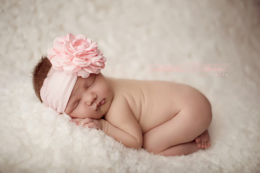 knoxville tn newborn photography artist