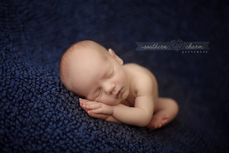 knoxville tn baby photographer