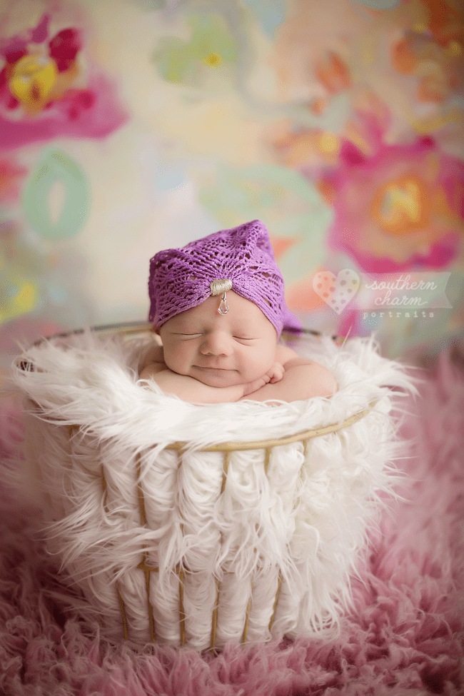 knoxville tn best newborn photographer