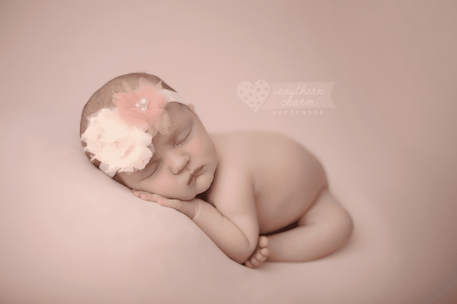 knoxville newborn photography artist