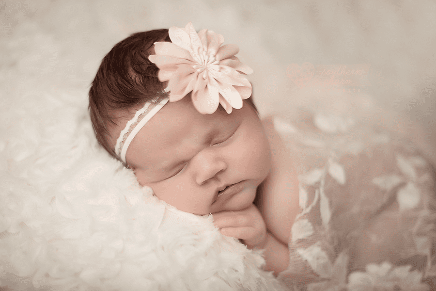 knoxville tn baby photography