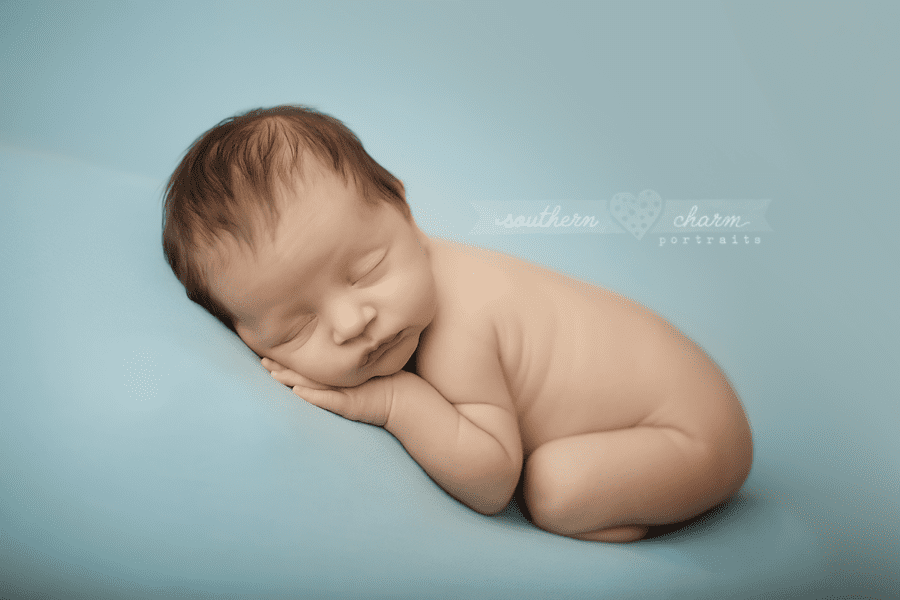 newborn photographer in knoxville, tn
