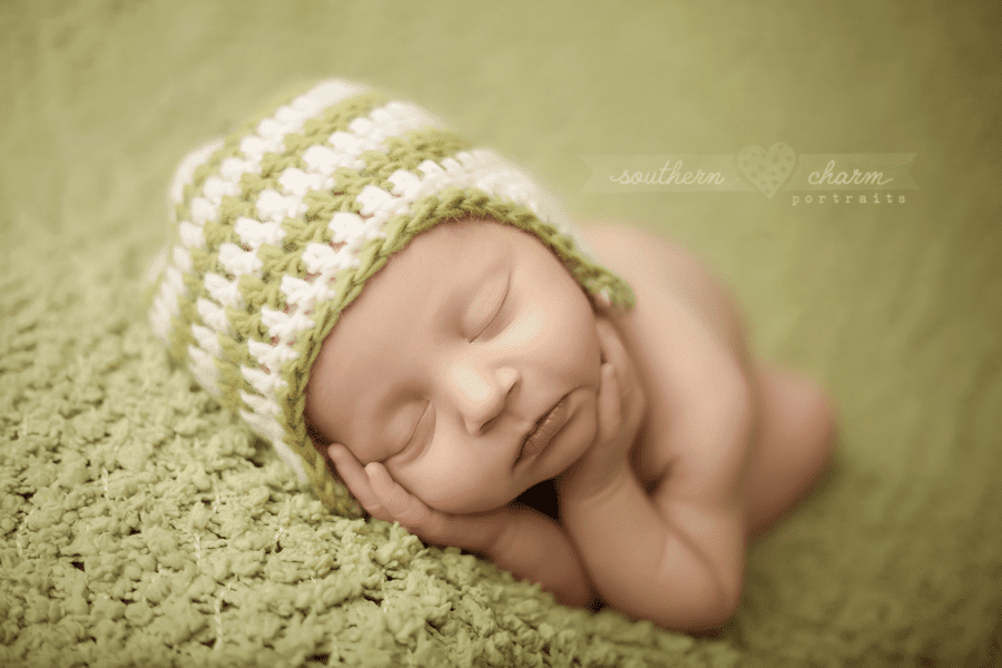 modern newborn photography knoxville