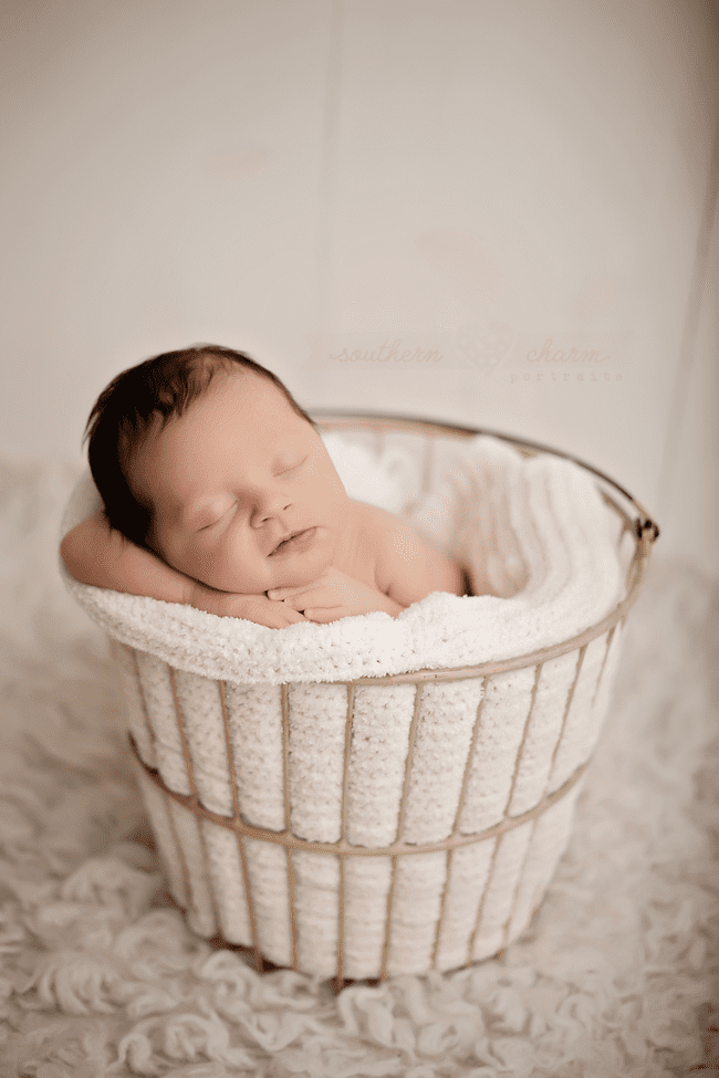 knoxville tn photography studio for newborns