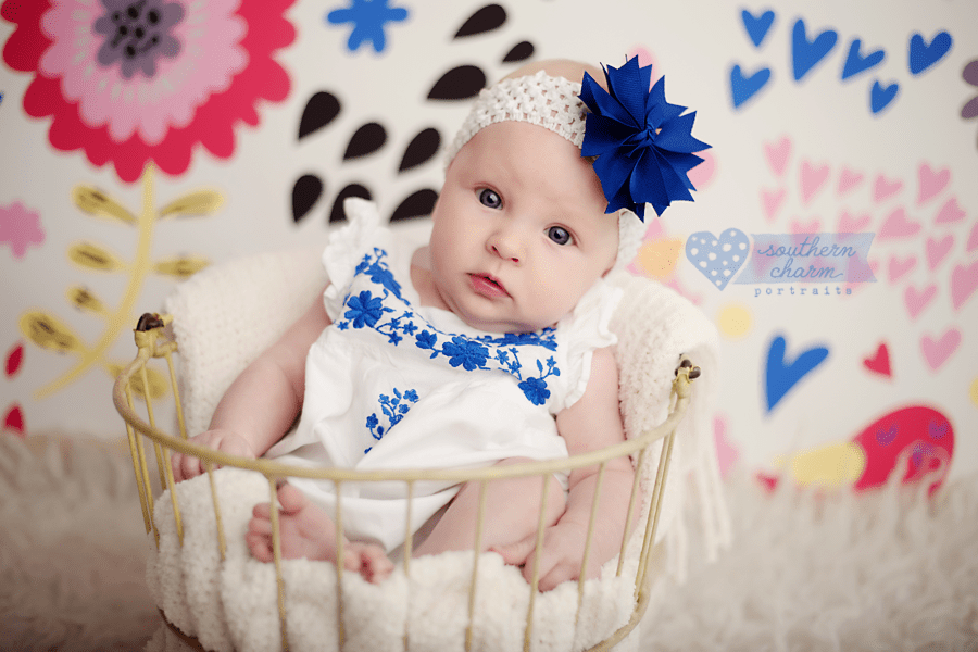 knoxville baby portraits