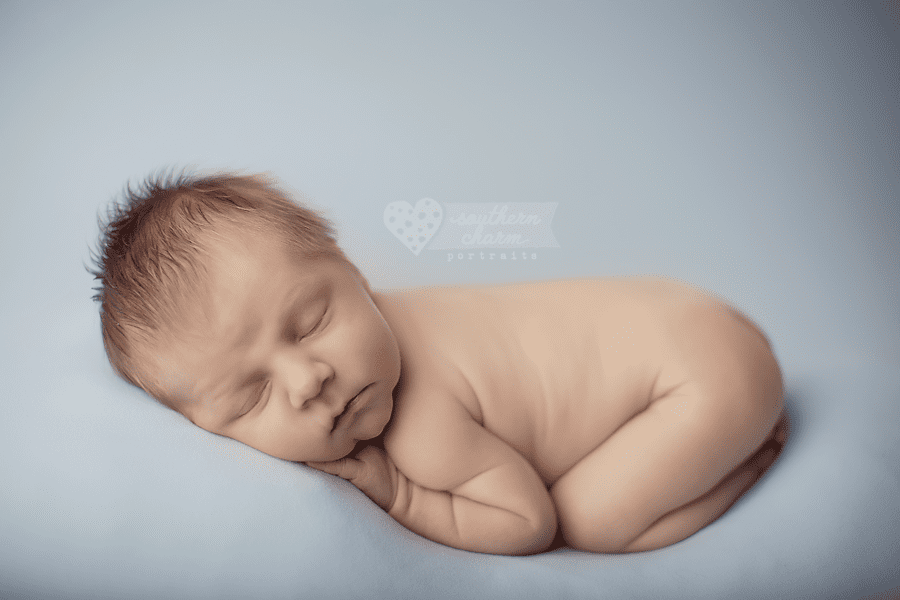 knoxville, tn newborn pictures