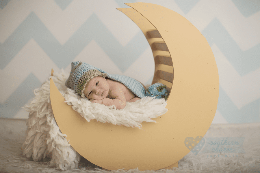 knoxville tn newborn pictures