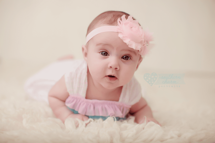 knoxville tn baby photographer