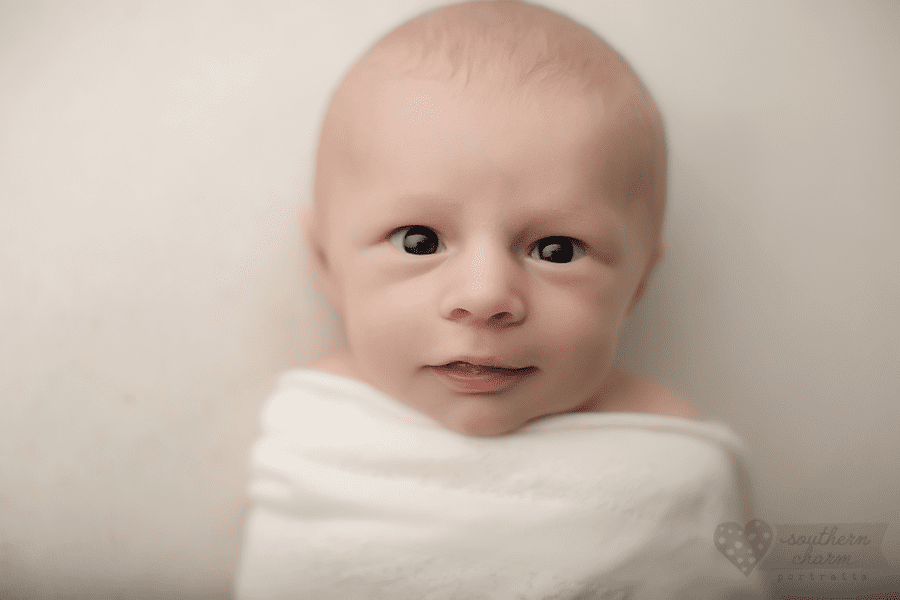 baby photographers in knoxville
