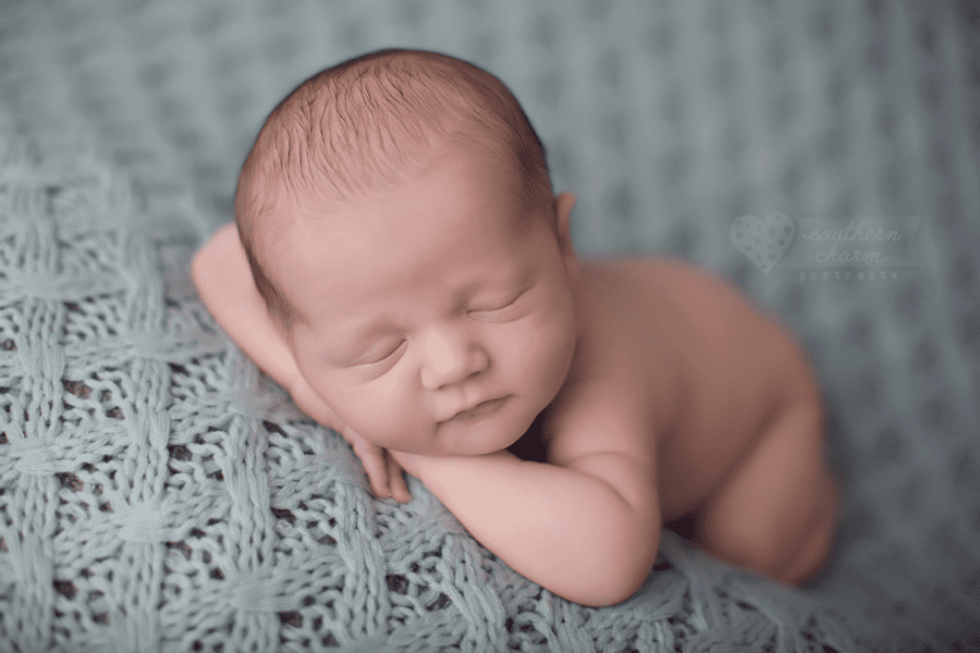 newborn photography knoxville