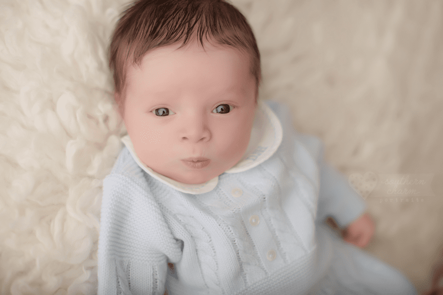 baby photography knoxville