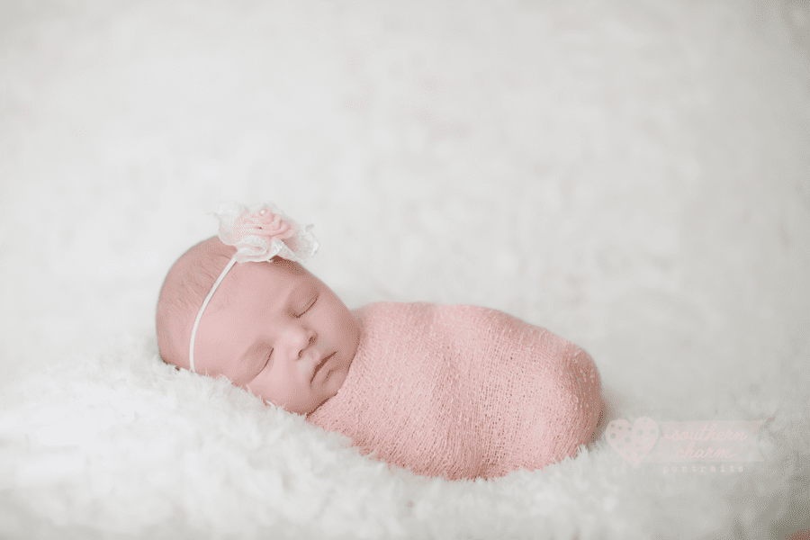 knoxville tn newborn photographers