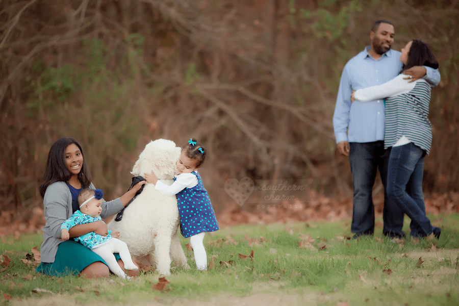 family photography knoxville