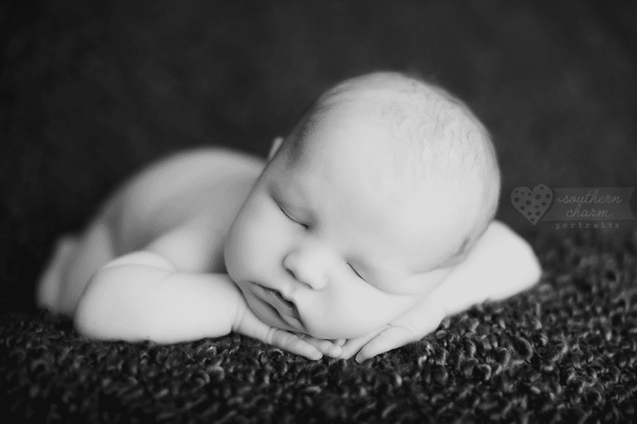 baby portraits knoxville