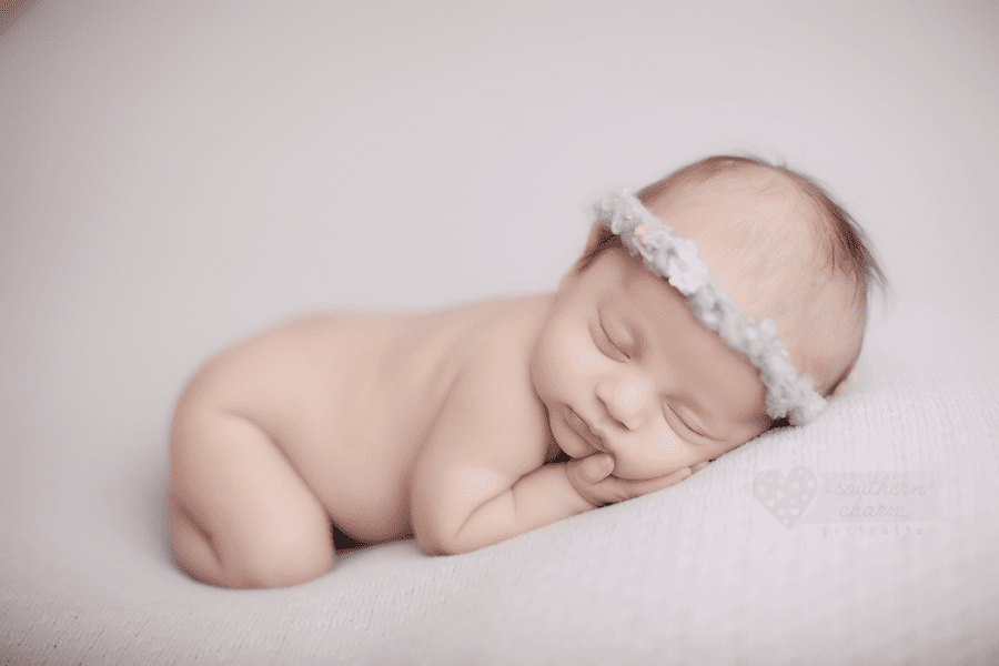 knoxville tn newborn photographer