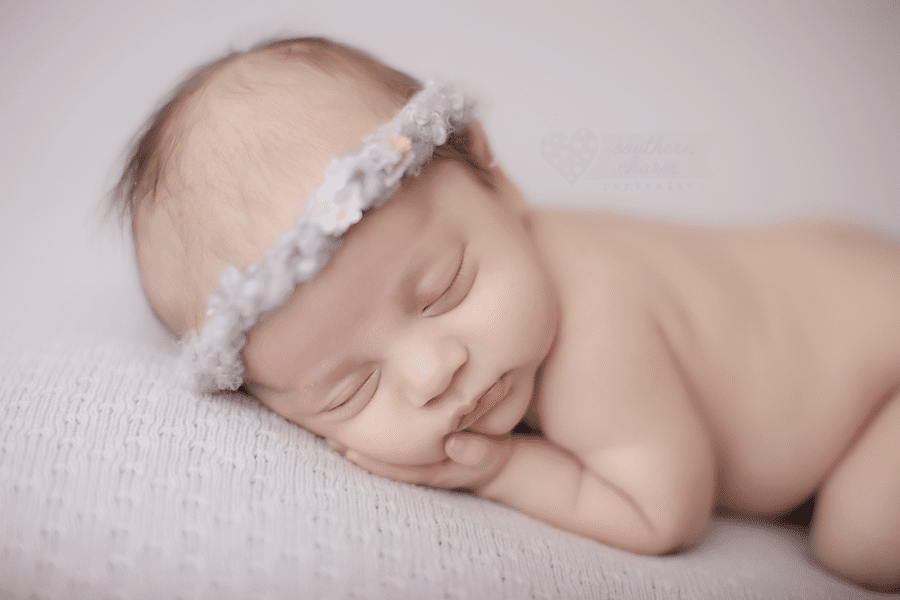 knoxville newborn photographers