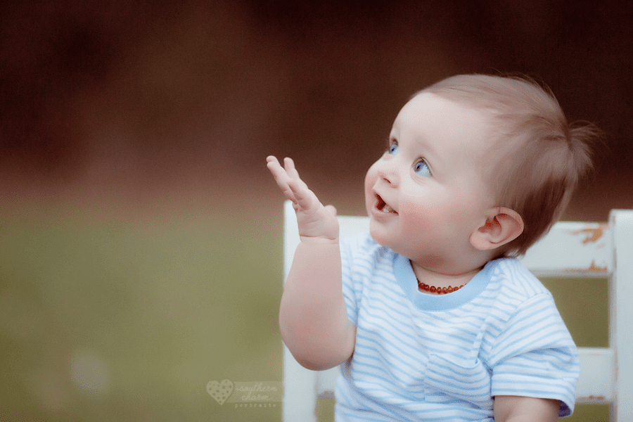 knoxville baby photographer
