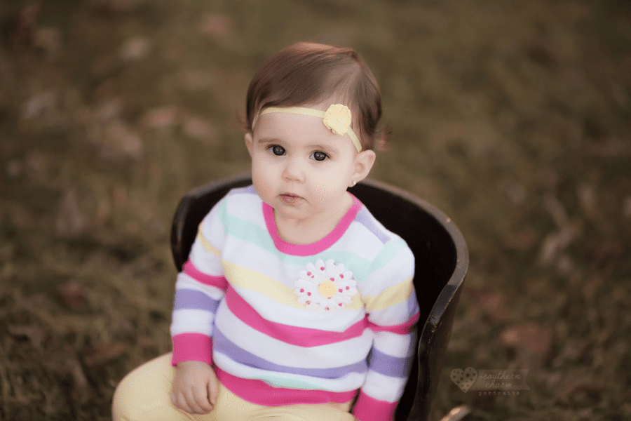 knoxville baby photographer
