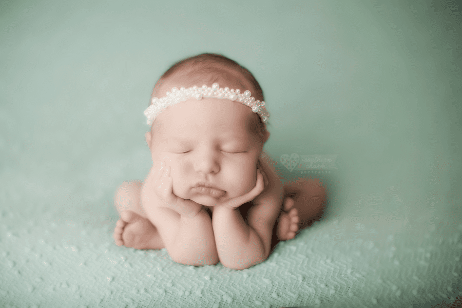 knoxville tn newborn photography
