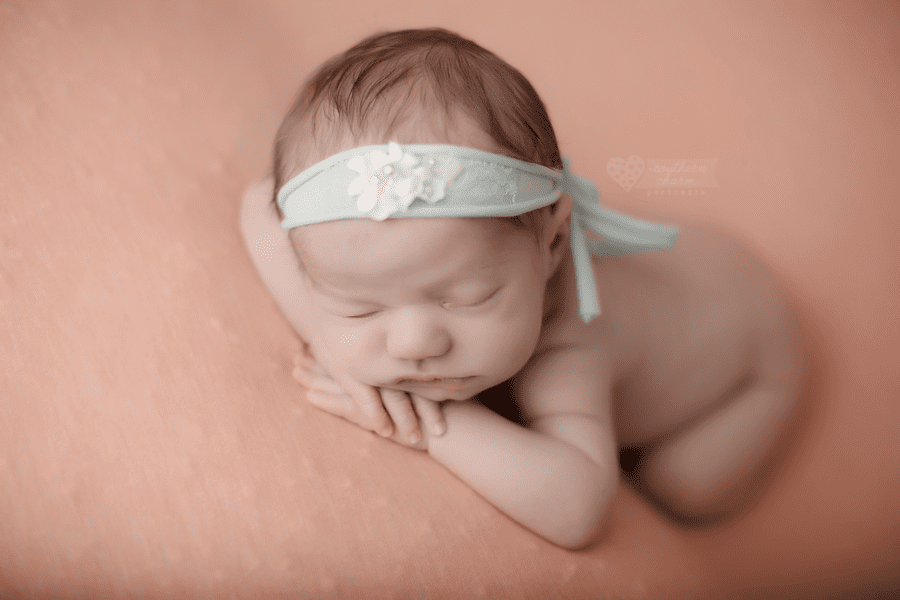 knoxville newborn photography