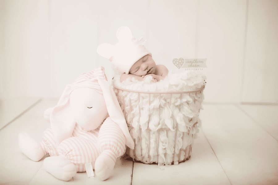 knoxville newborn photographers