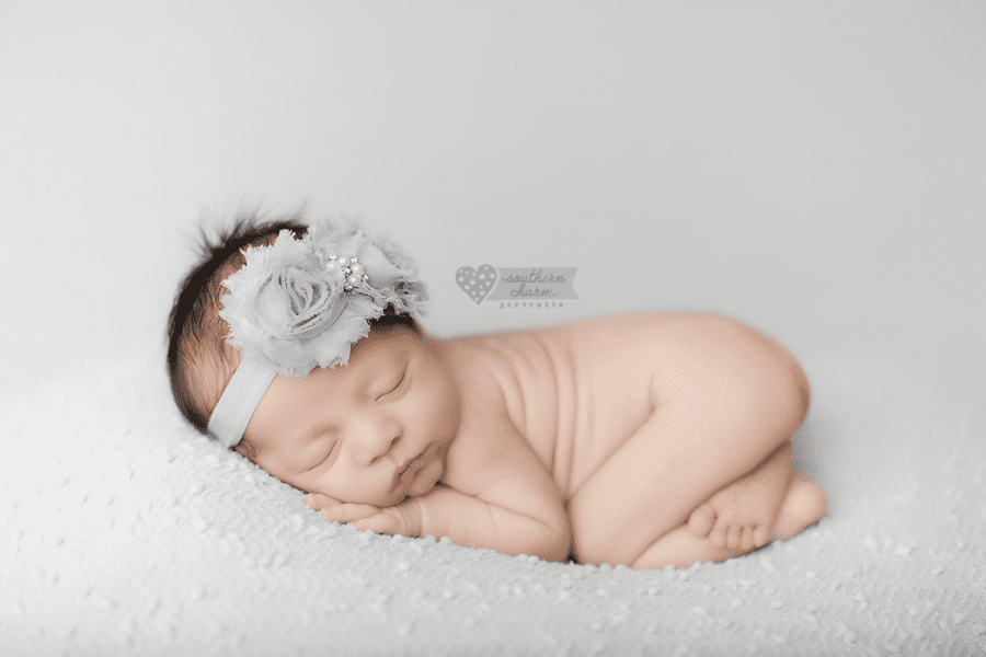 best newborn photographer knoxville tn