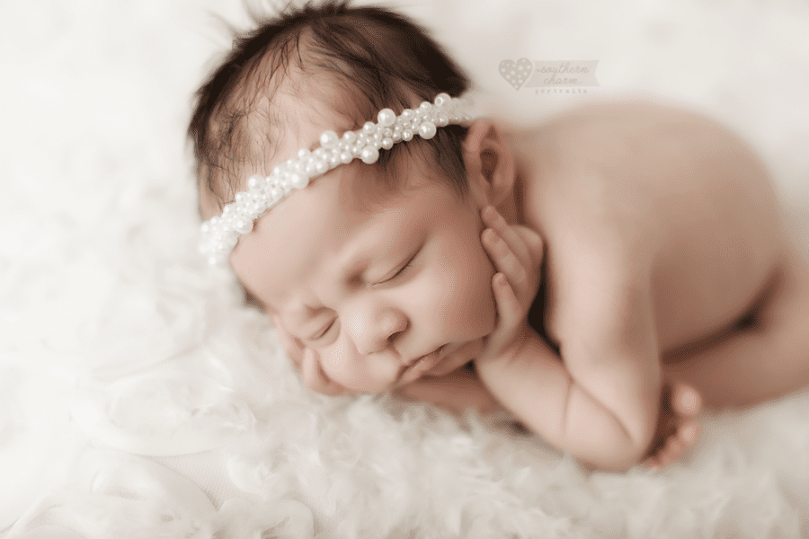 knoxville newborn pictures