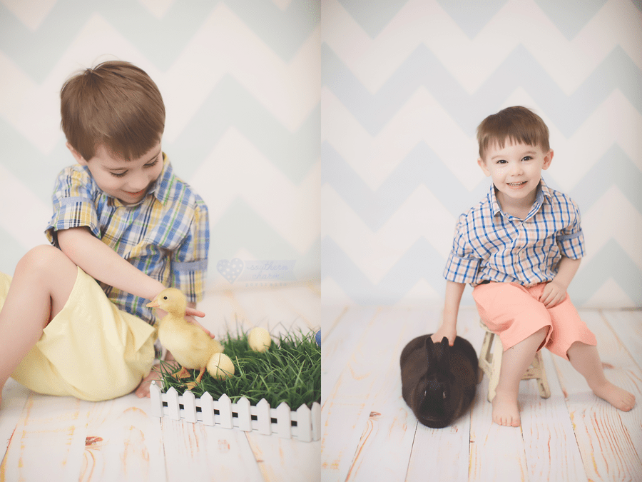 knoxville tn portrait studio