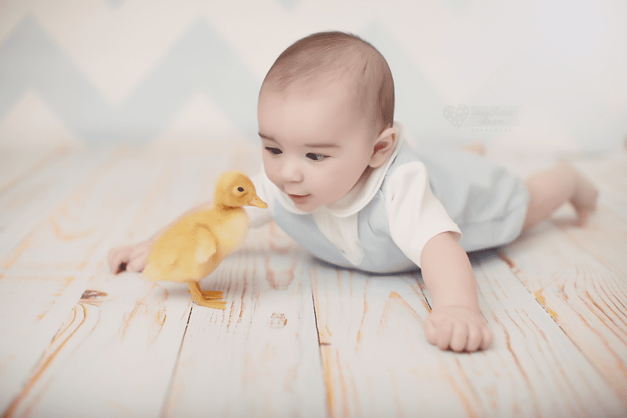 knoxville tn baby photography studio