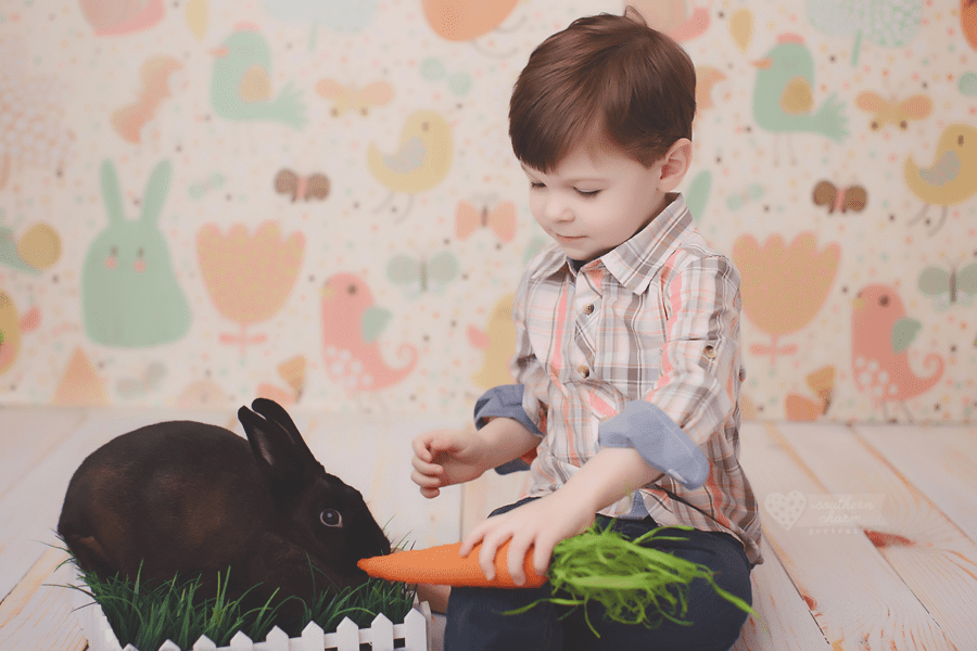 knoxville tn kids photographer