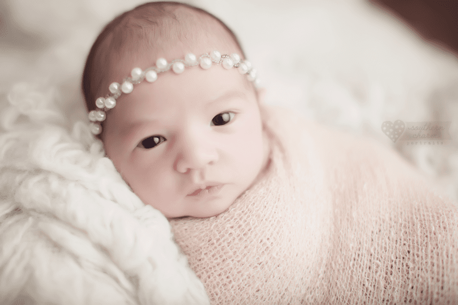knoxville newborn photography