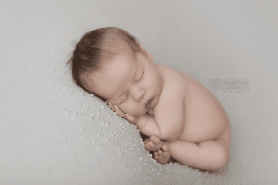 knoxville newborn photography 