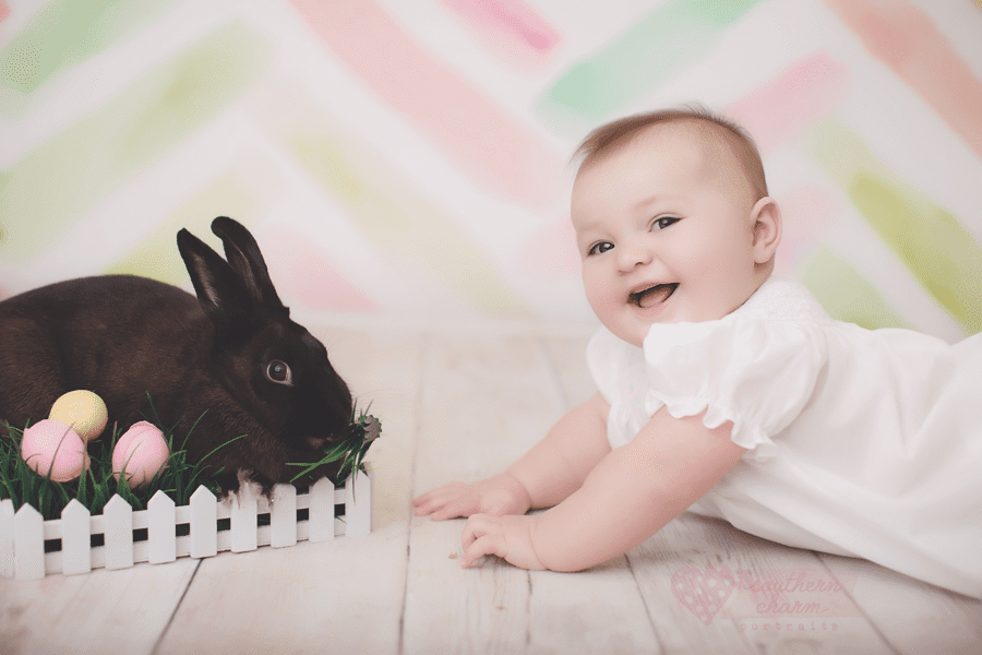best baby photographer knoxville