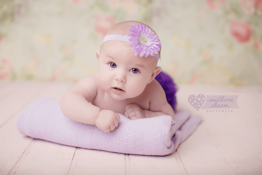 knoxville tn baby photography