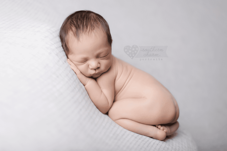 knoxville newborn photography