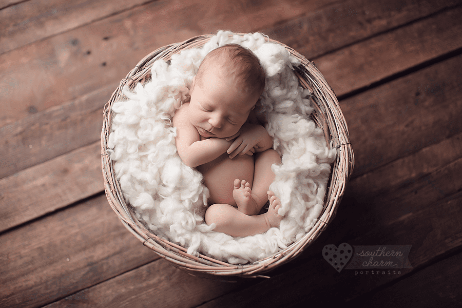 best newborn photographer knoxville, tn