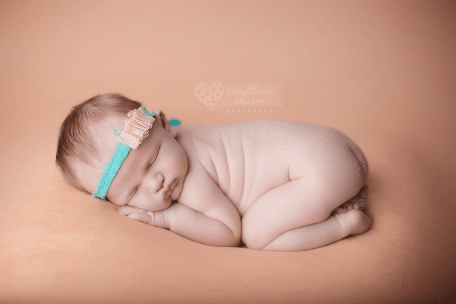 knoxville newborn photography