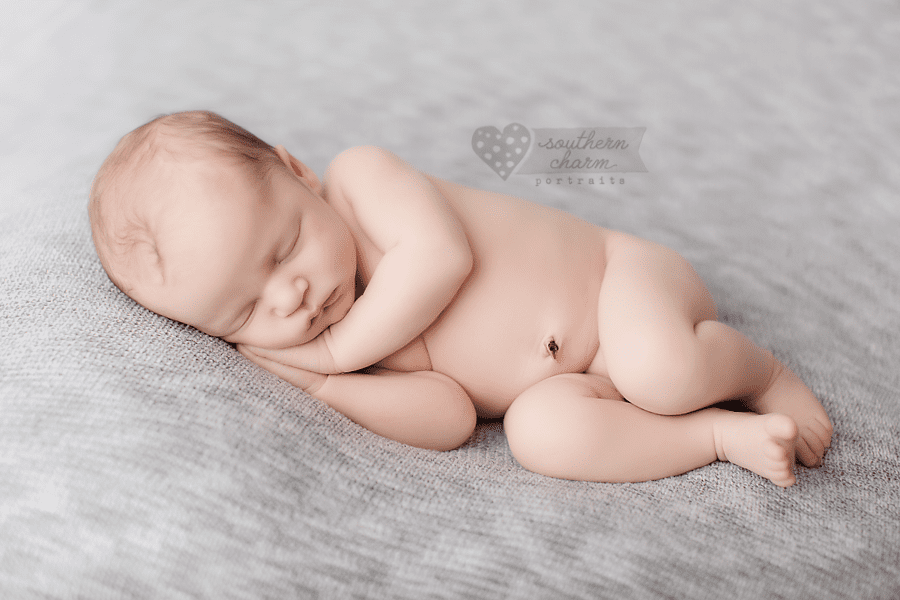 newborn portraits west knoxville