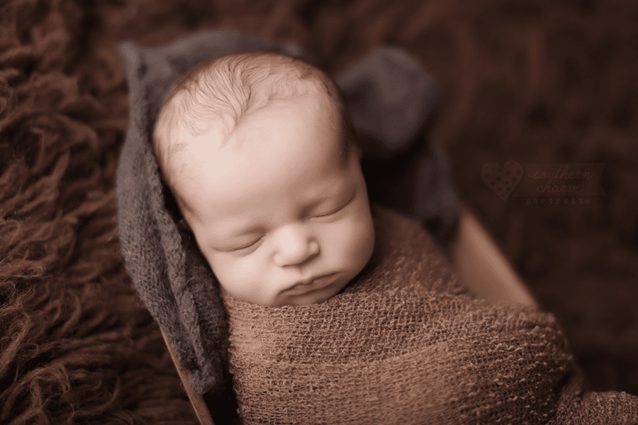 west knoxville newborn photography studio