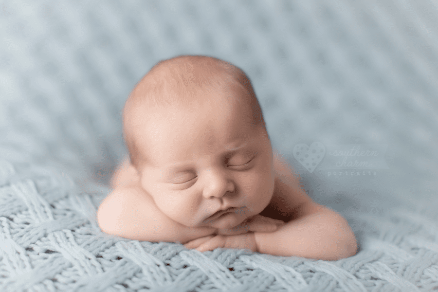 knoxville newborns