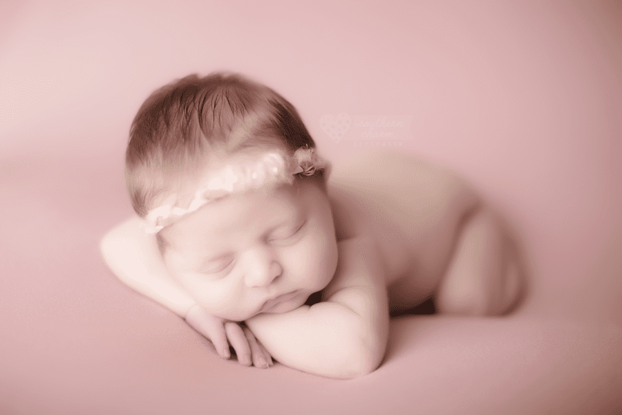 knoxville tn newborn studio