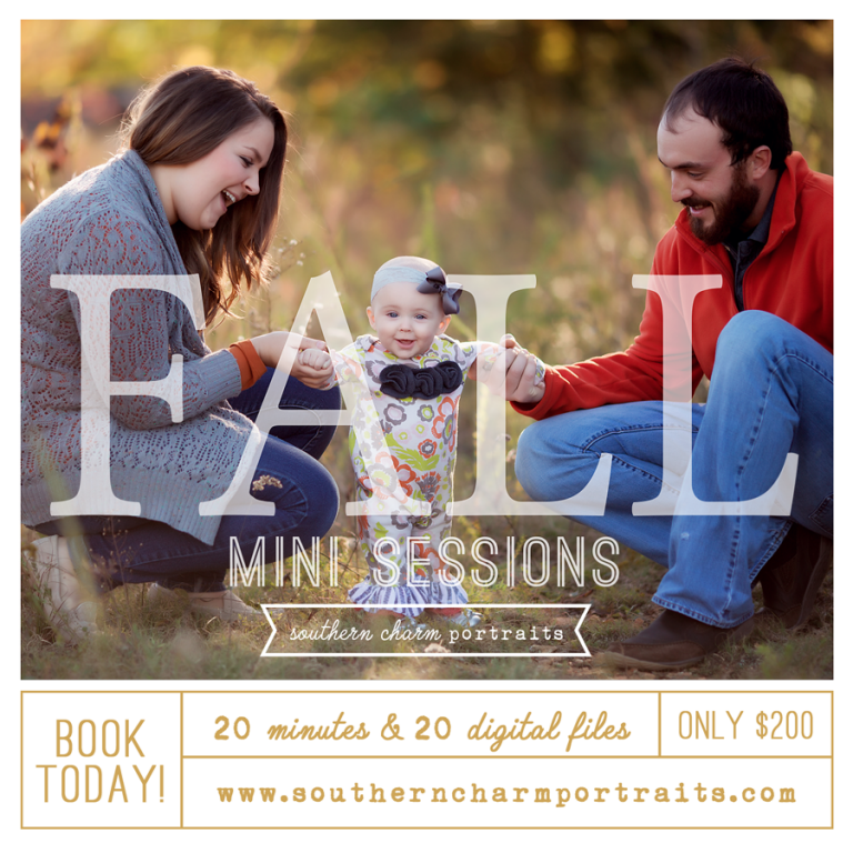 knoxville fall family sessions photography