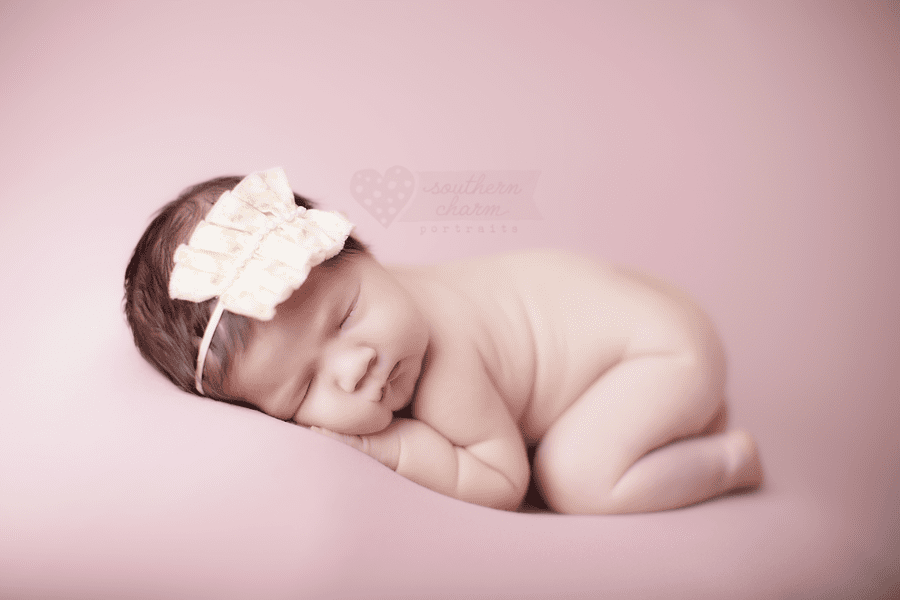 newborn portraits knoxville farragut