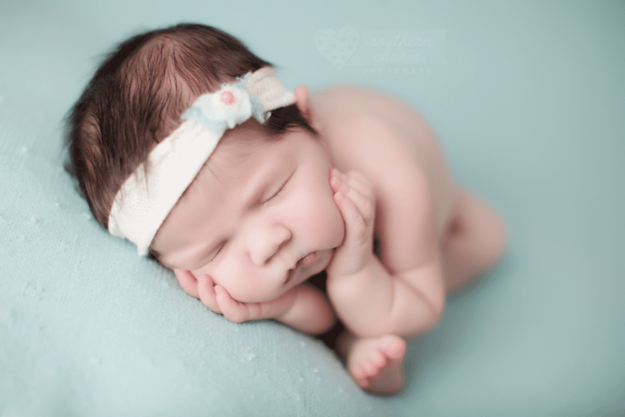 knoxville newborn photography