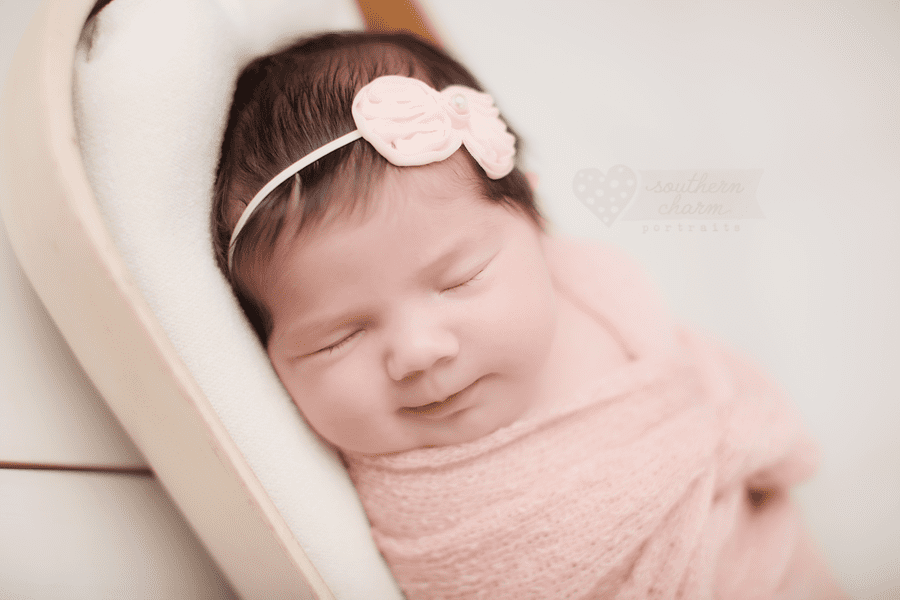 knoxville portraits newborns