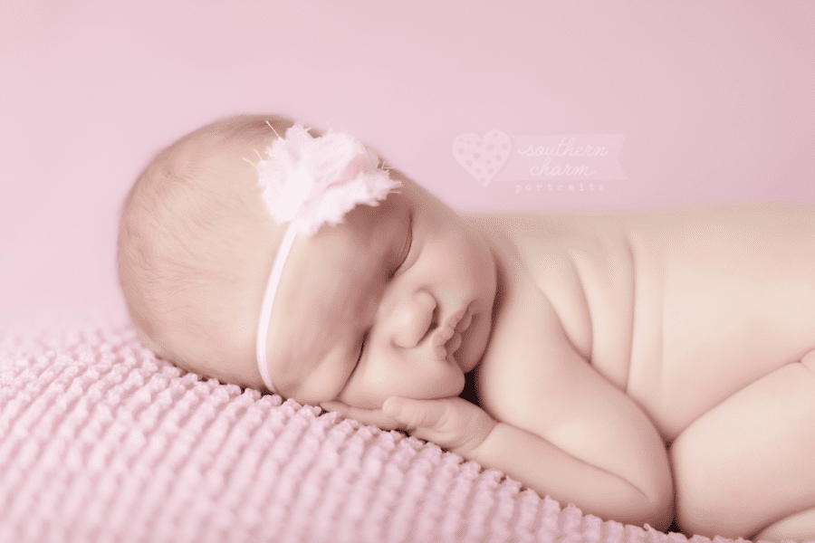 west knoxville newborn photography