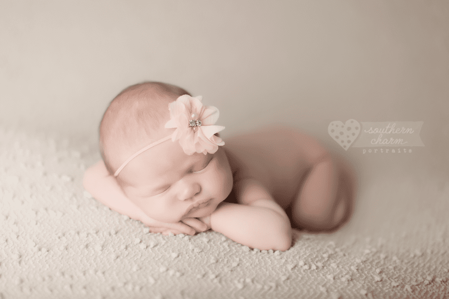 cedar bluff newborn portraits