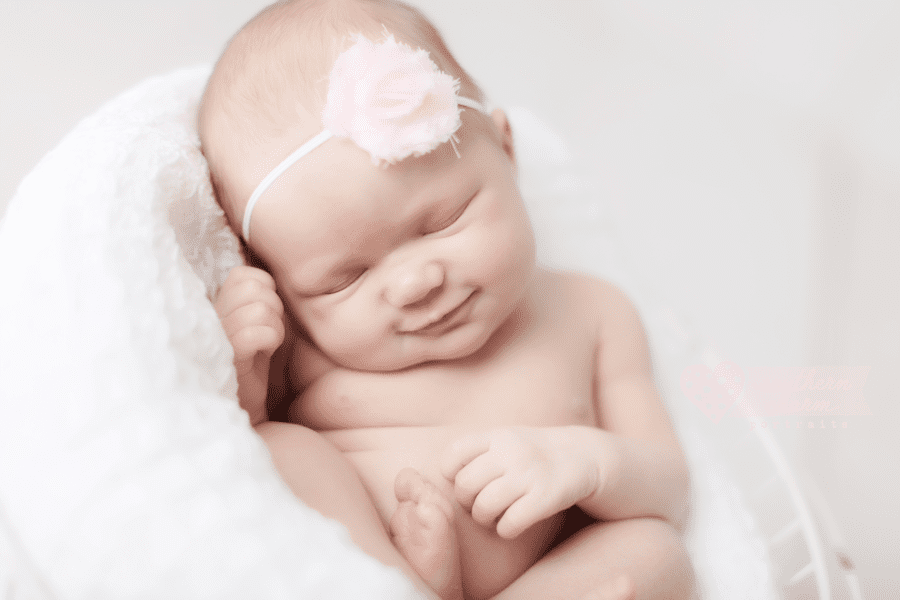 cedar bluff and farragut photographer