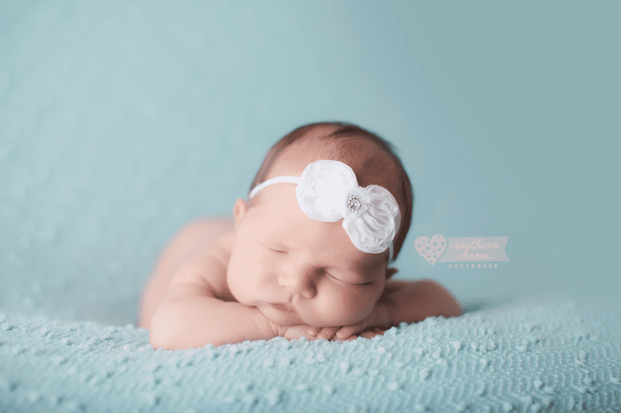 knoxville newborn portraits