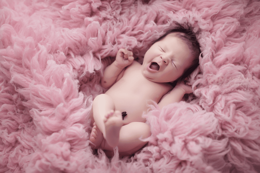 west knoxville newborn photography studio